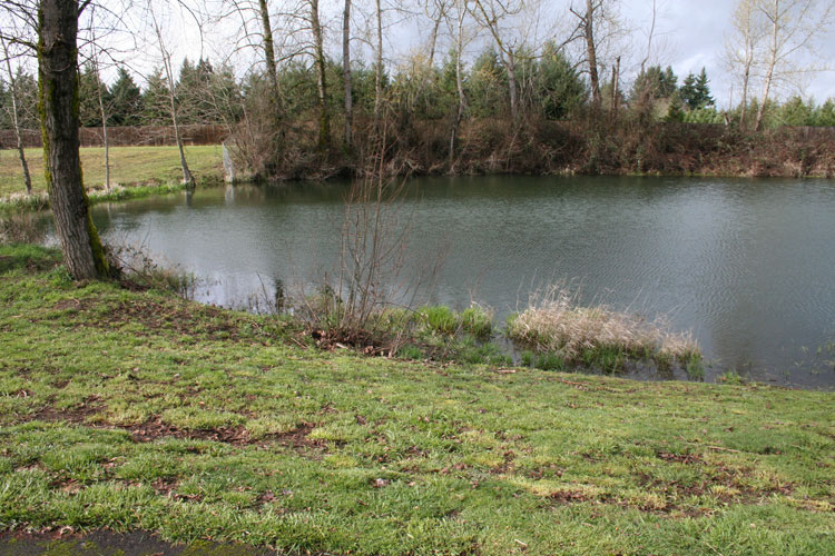 homesite remaining